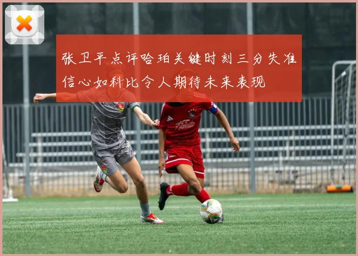 张卫平点评哈珀关键时刻三分失准信心如科比令人期待未来表现